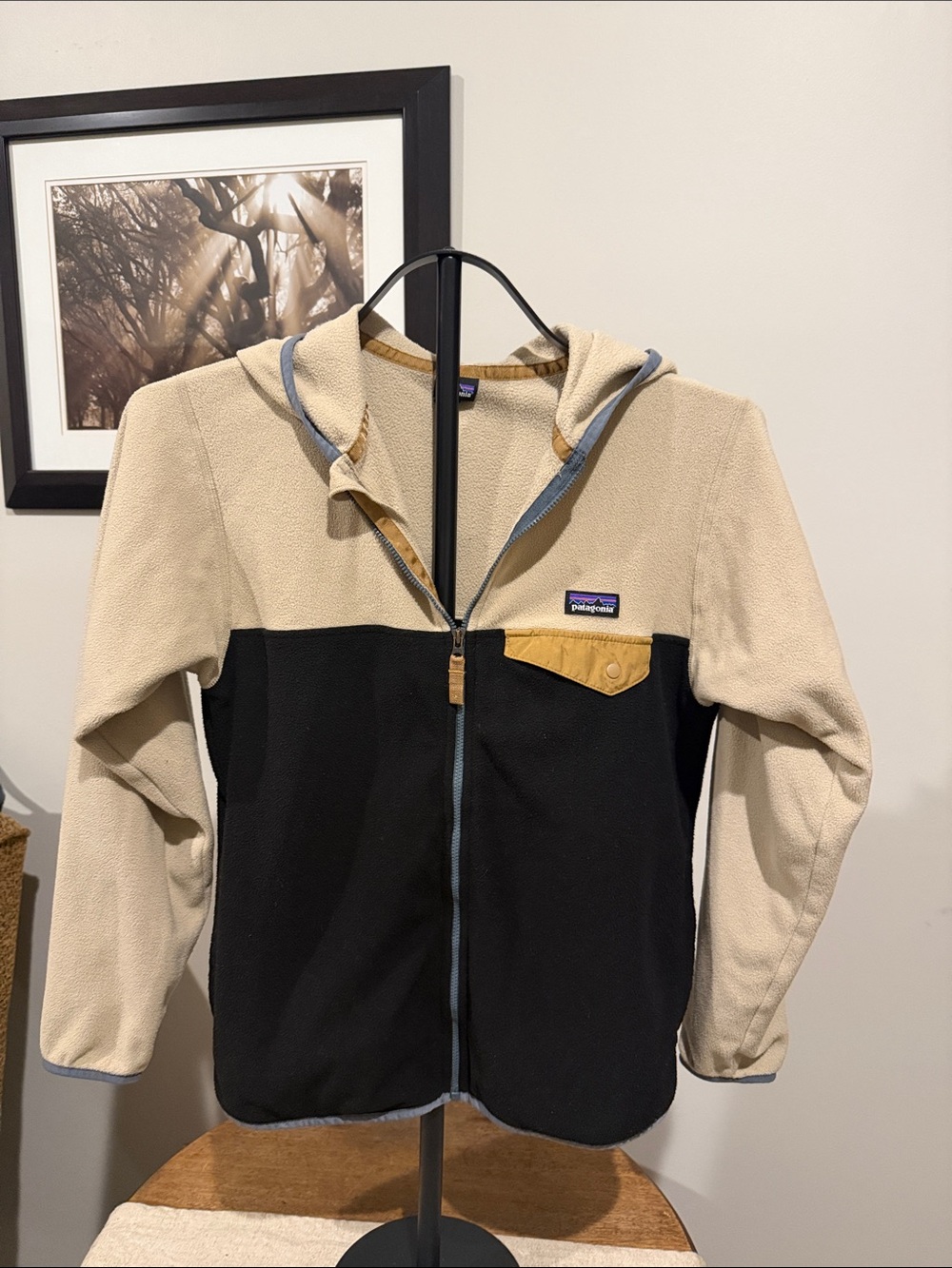 Patagonia Kids Beige and Black Two-Tone Fleece Hoodie